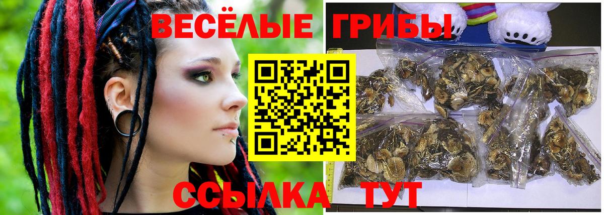 Галлюциногенные грибы мухоморы Реутов